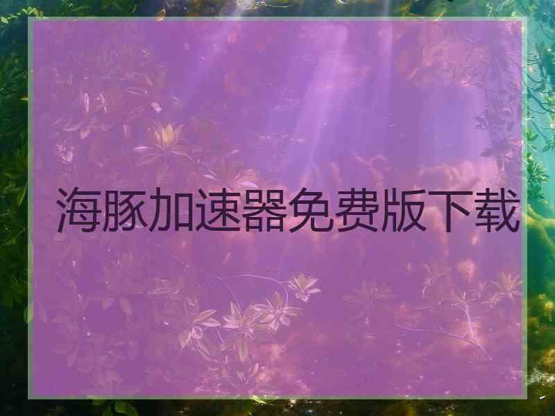 海豚加速器免费版下载