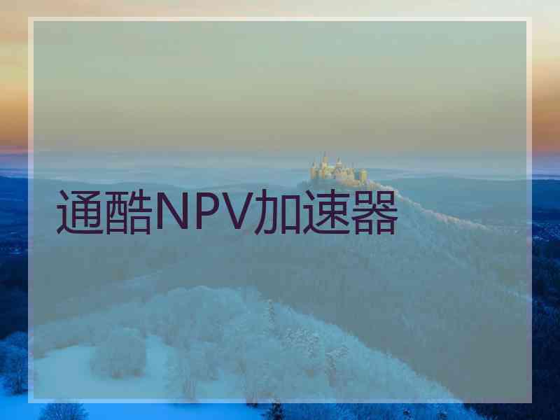 通酷NPV加速器