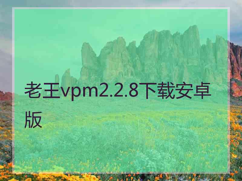 老王vpm2.2.8下载安卓版