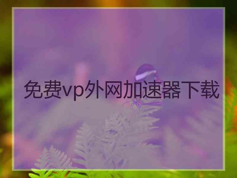 免费vp外网加速器下载