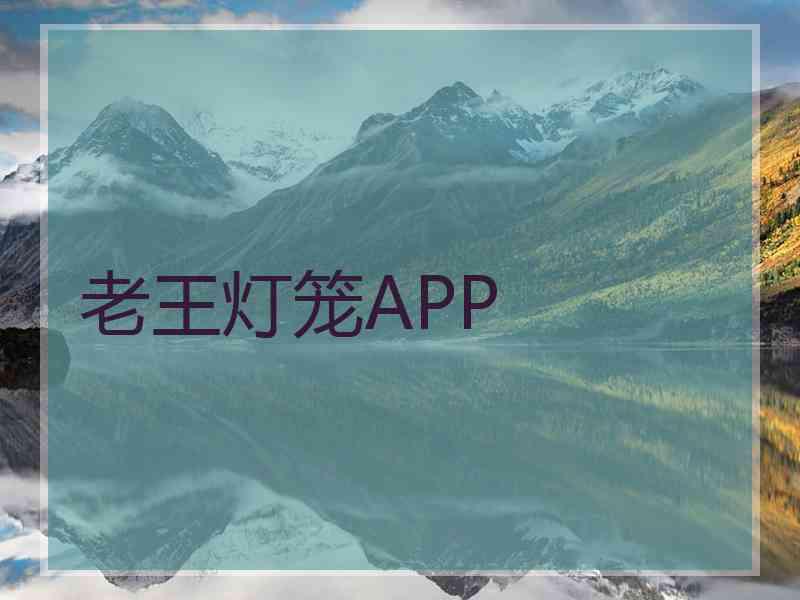 老王灯笼APP