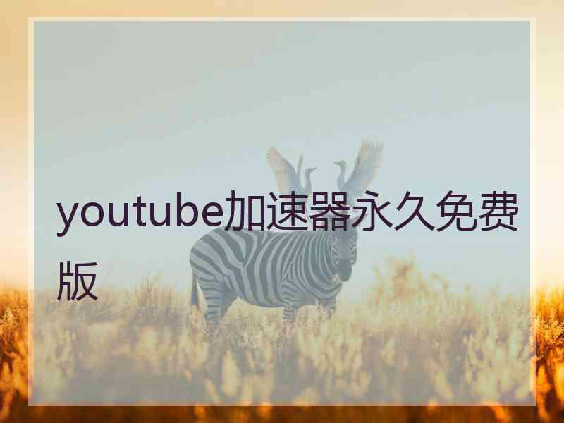 youtube加速器永久免费版