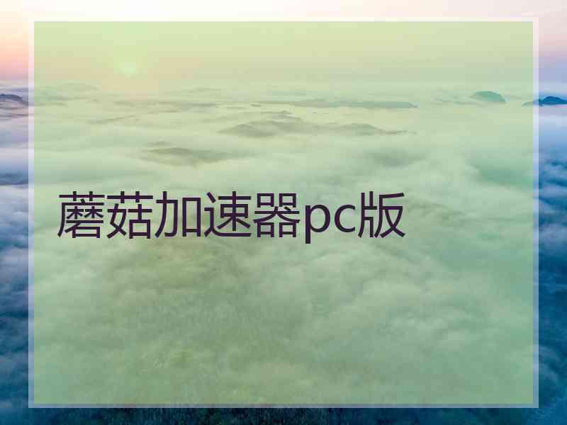 蘑菇加速器pc版