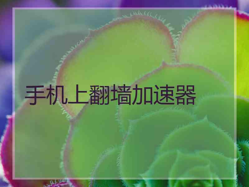 手机上翻墙加速器