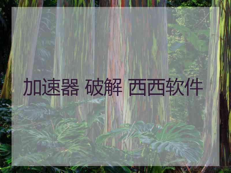 加速器 破解 西西软件