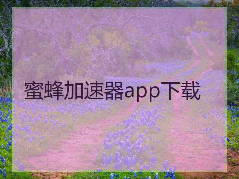 蜜蜂加速器app下载