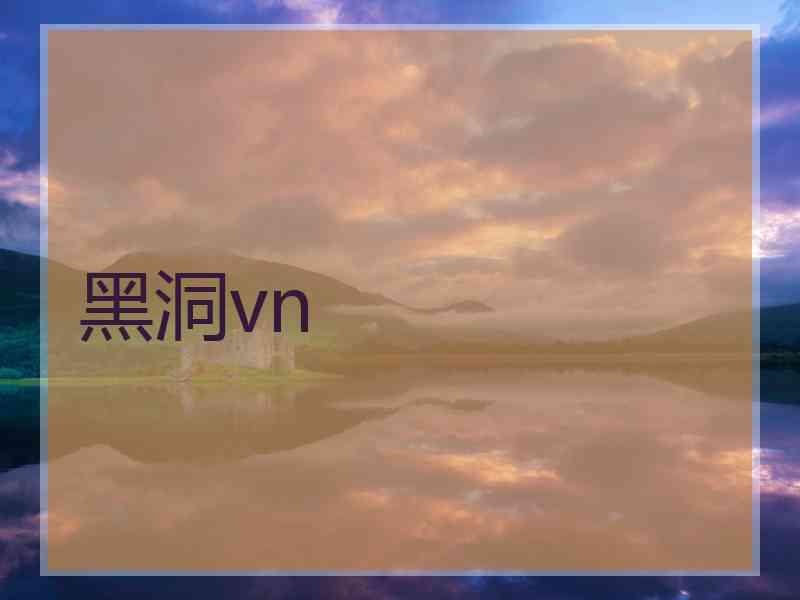 黑洞vn