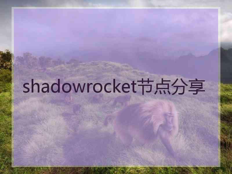 shadowrocket节点分享