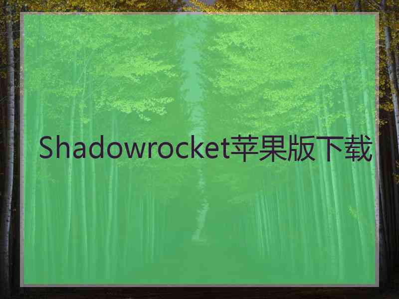 Shadowrocket苹果版下载