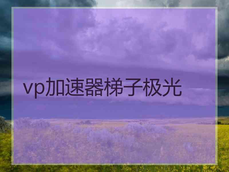 vp加速器梯子极光