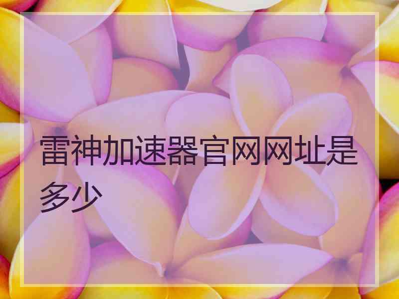 雷神加速器官网网址是多少