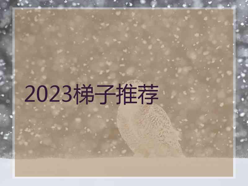 2023梯子推荐