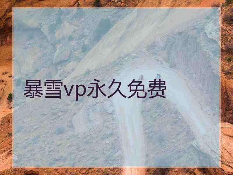 暴雪vp永久免费