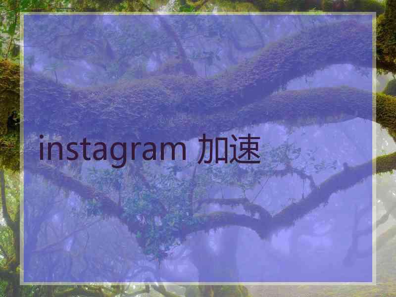 instagram 加速