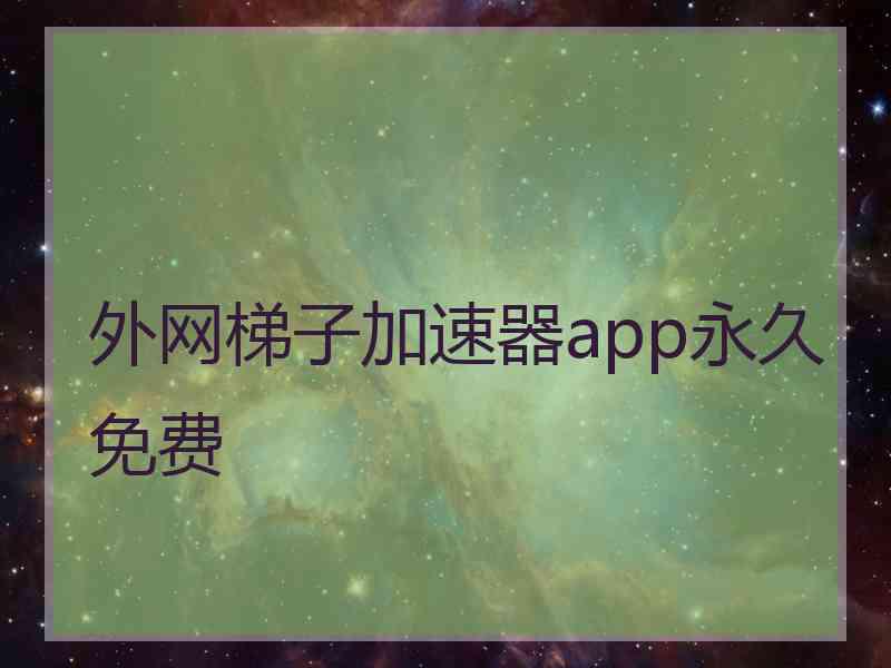 外网梯子加速器app永久免费