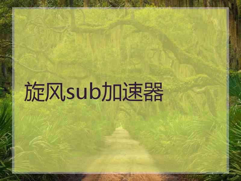 旋风sub加速器