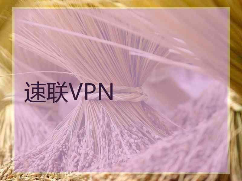 速联VPN