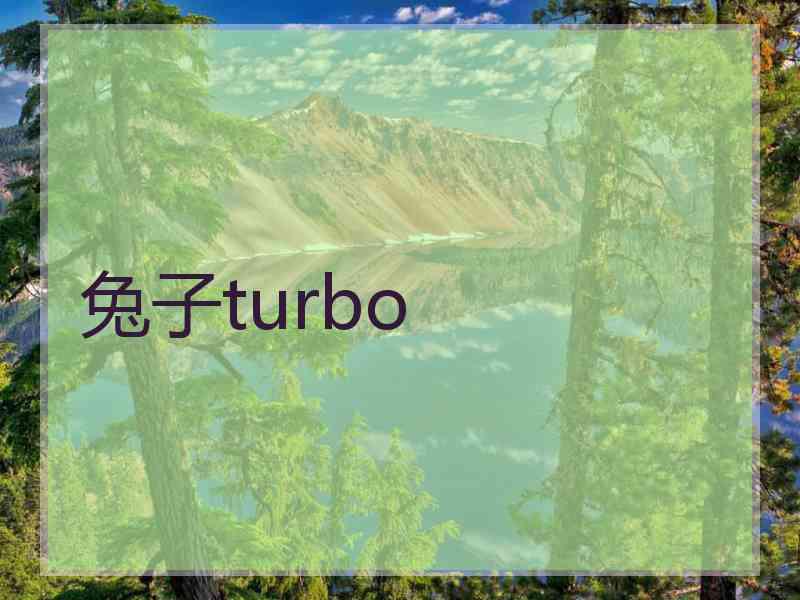 兔子turbo