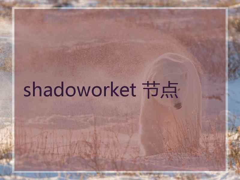 shadoworket 节点