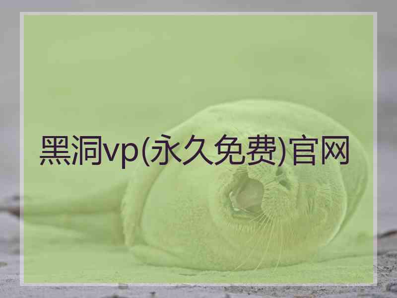 黑洞vp(永久免费)官网