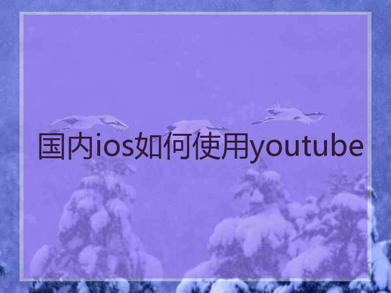 国内ios如何使用youtube