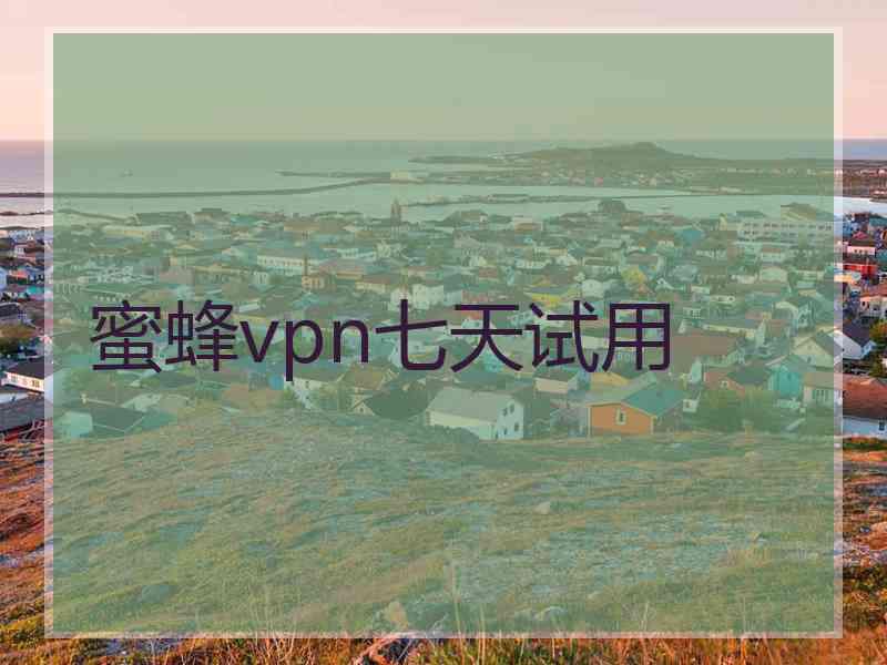 蜜蜂vpn七天试用