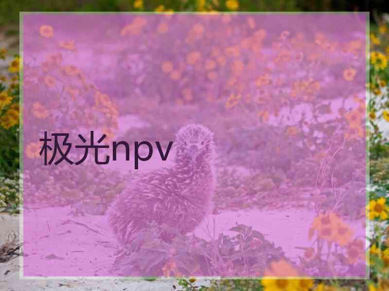 极光npv