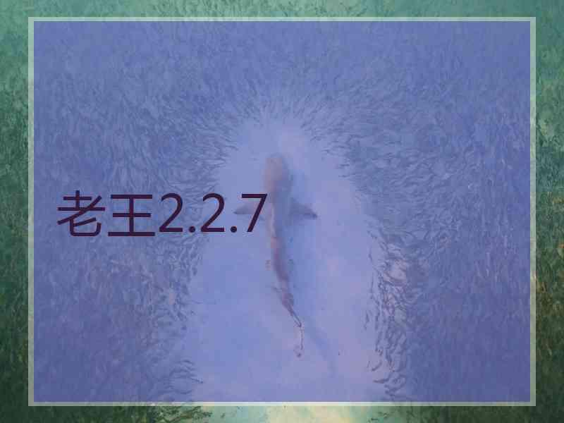 老王2.2.7