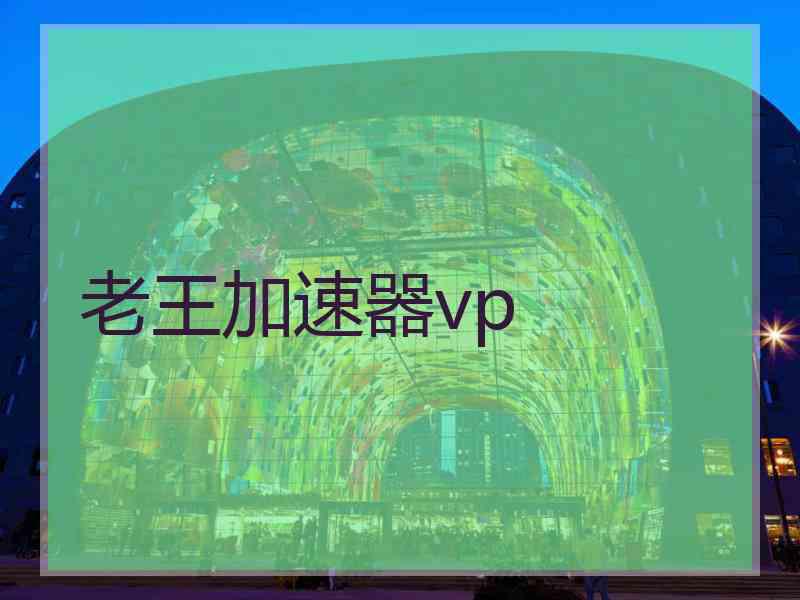 老王加速器vp