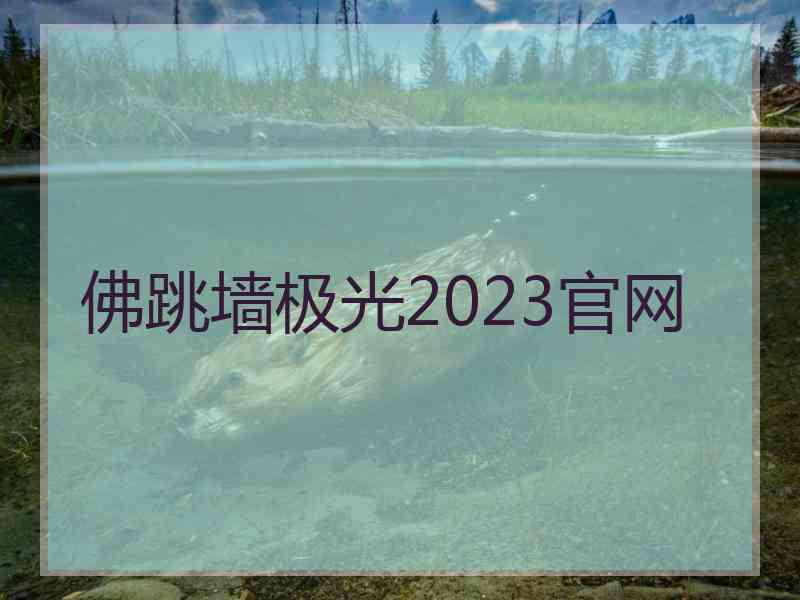 佛跳墙极光2023官网