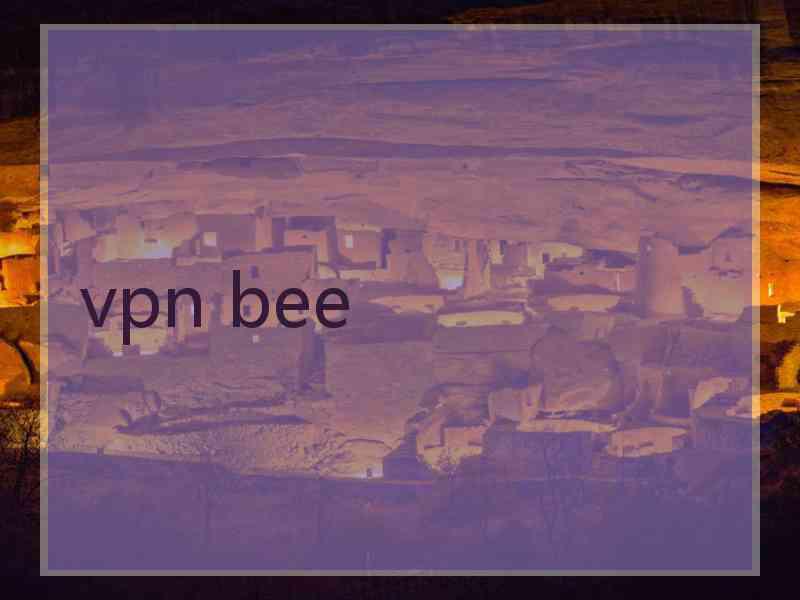 vpn bee