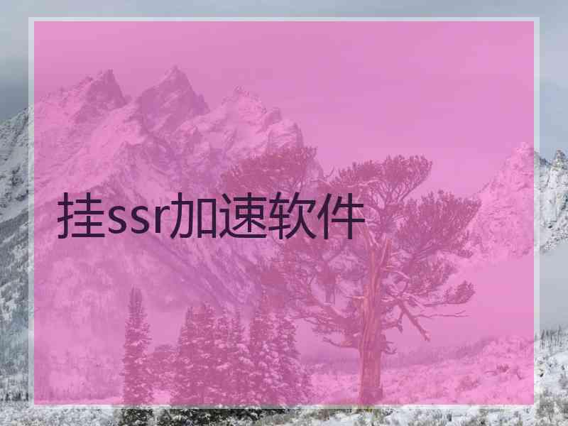 挂ssr加速软件