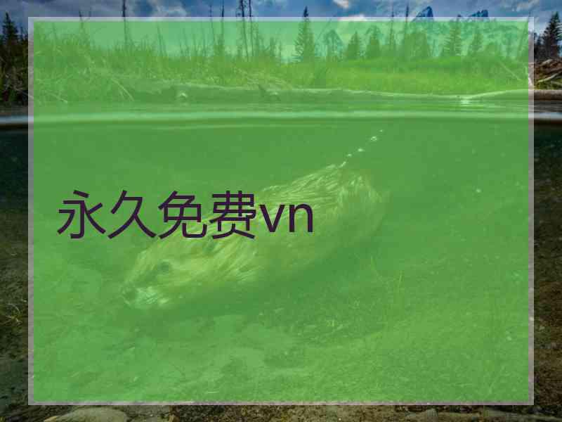 永久免费vn