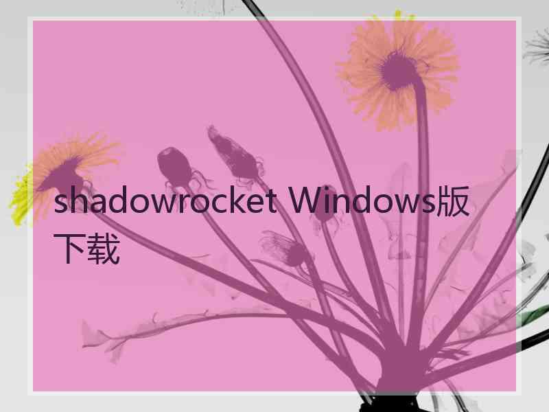 shadowrocket Windows版下载