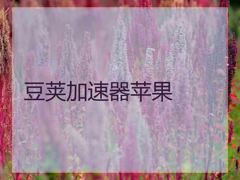 豆荚加速器苹果