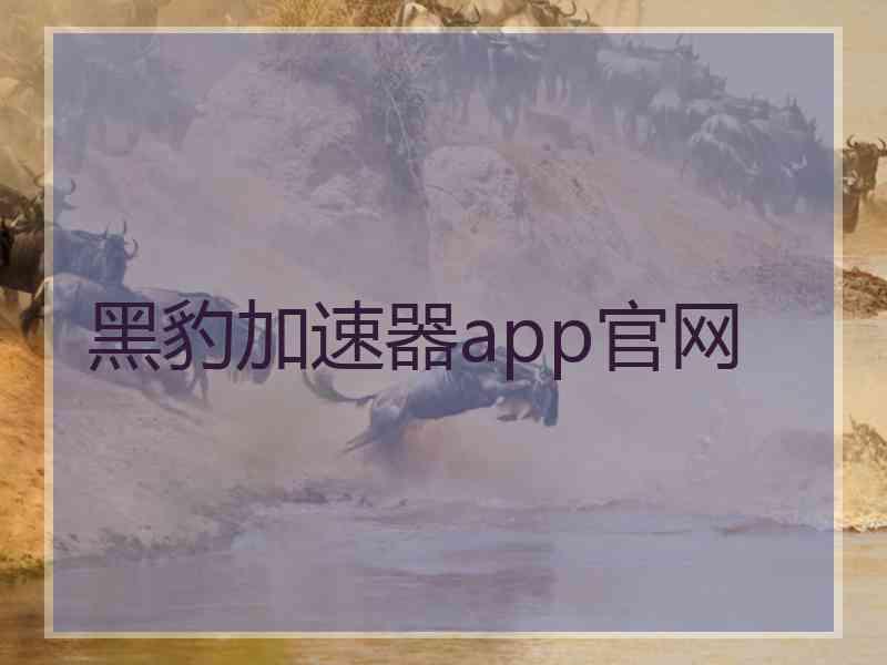 黑豹加速器app官网