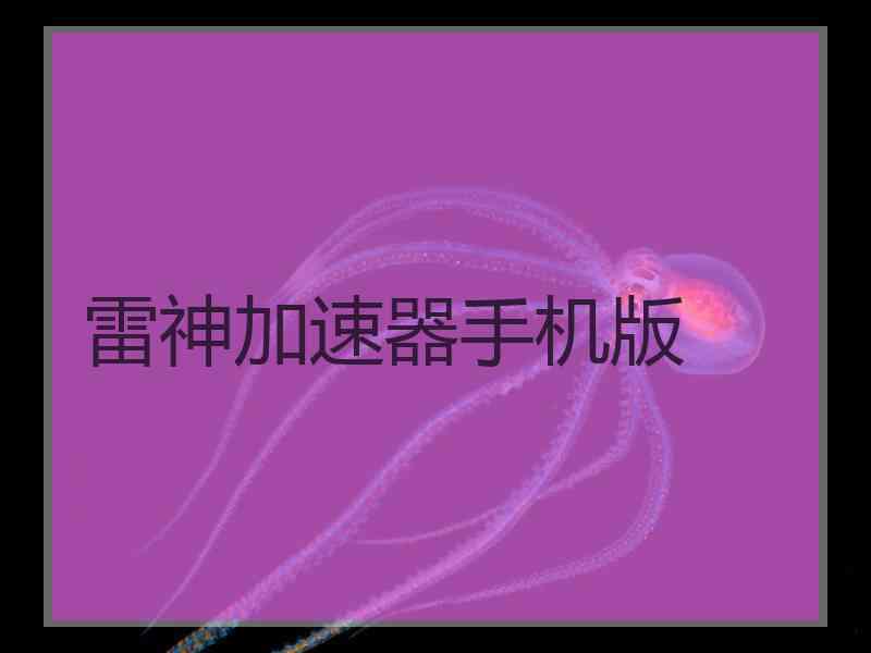 雷神加速器手机版