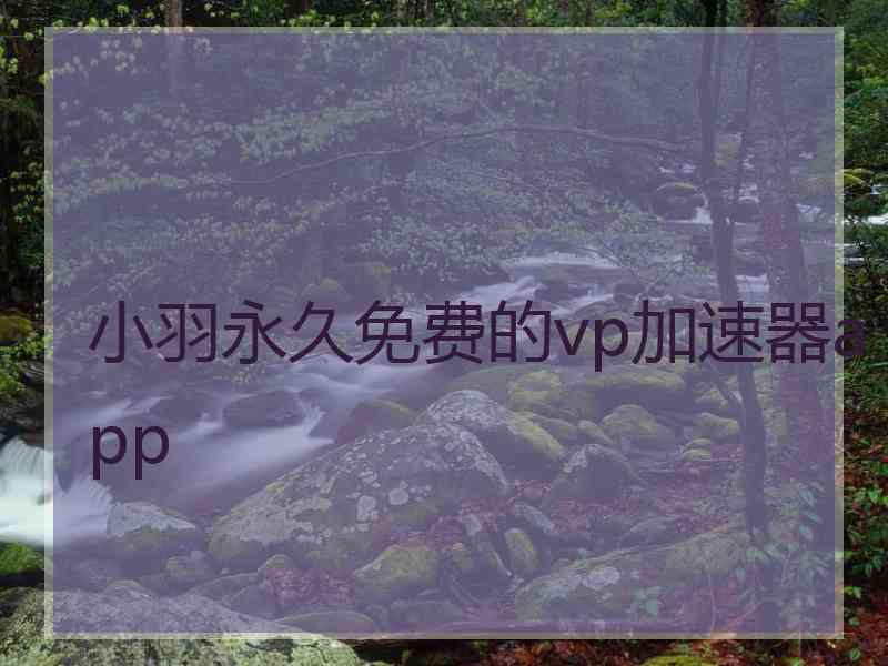 小羽永久免费的vp加速器app