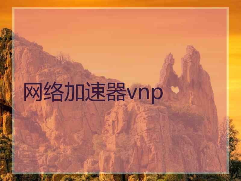 网络加速器vnp