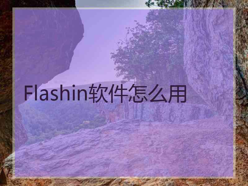 Flashin软件怎么用