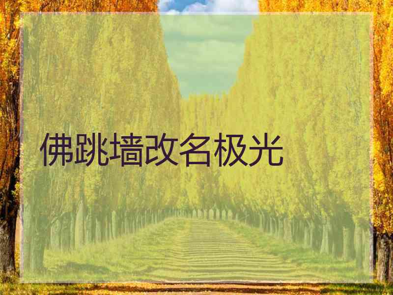 佛跳墙改名极光