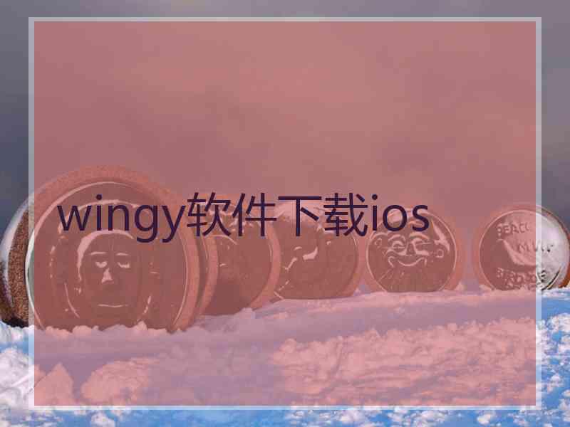 wingy软件下载ios