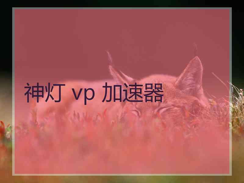 神灯 vp 加速器