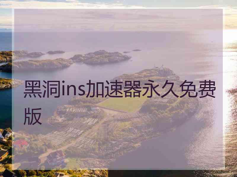 黑洞ins加速器永久免费版