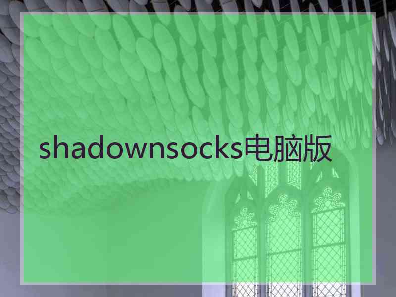 shadownsocks电脑版