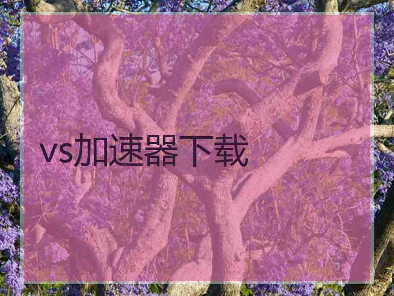 vs加速器下载