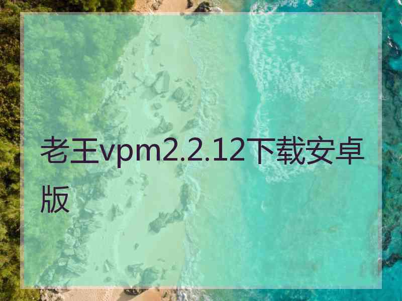 老王vpm2.2.12下载安卓版