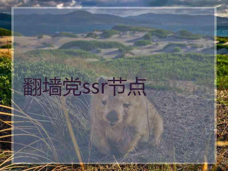 翻墙党ssr节点