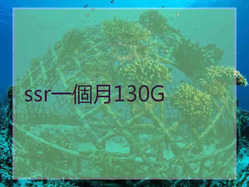 ssr一個月130G