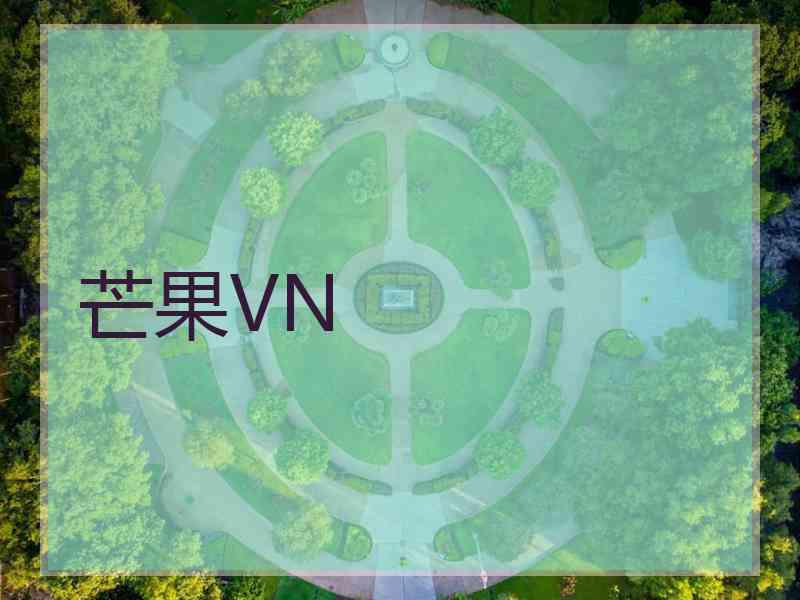 芒果VN